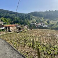 Bodegas Val de Souto Winery